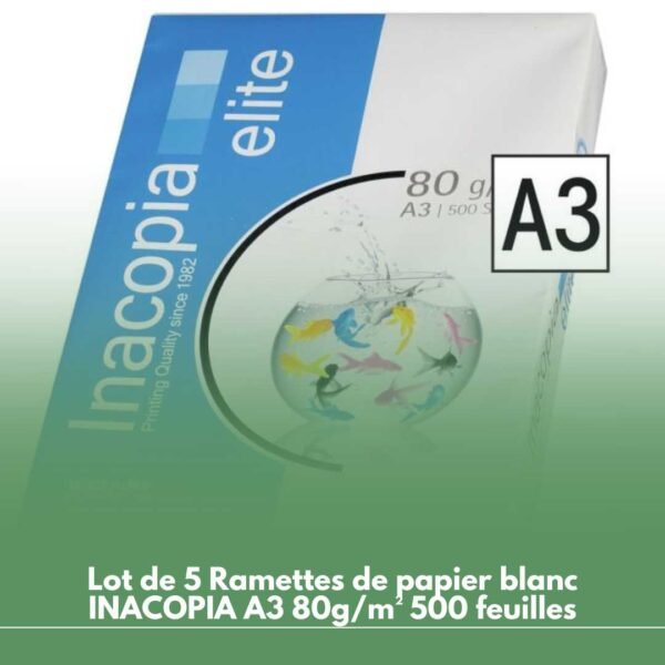 Lot de 5 Ramettes de papier blanc INACOPIA A3 80g/m² 500 feuilles