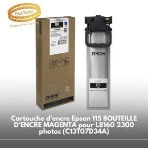 Cartouche d'encre Epson T9441 Noir pour cartouche d'encre série WF-C5xxx 5 000 pages (C13T944140)