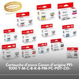 Cartouche d'encre Canon d'origine PFI-1000 Y-M-C-B-R-B-PM-PC-PGY-CO