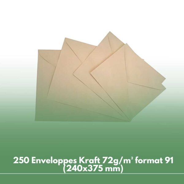 250 Enveloppes Kraft 72g/m² format 91 (240x375 mm)