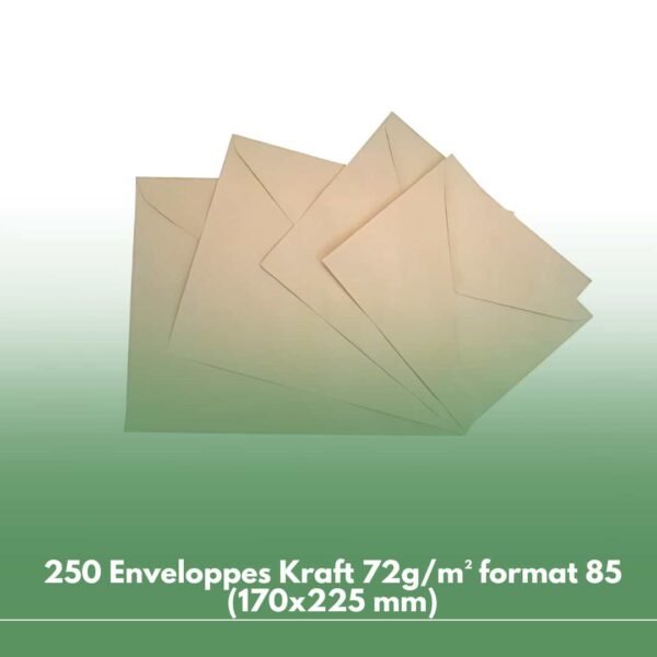 250 Enveloppes Kraft 72g/m² format 85 (170x225 mm)