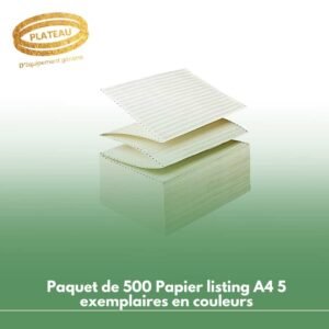 Paquet de 500 Papier listing A4 5 exemplaires en couleurs