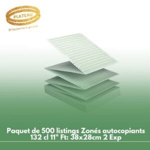 Paquet de 500 listings Zonés autocopiants 132 cl 11" Ft: 38x28cm 2 Exp