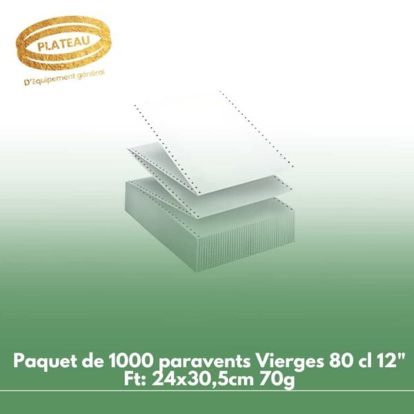 Paquet de 1000 paravents Vierges 80 cl 12" Ft: 24x30,5cm 70g