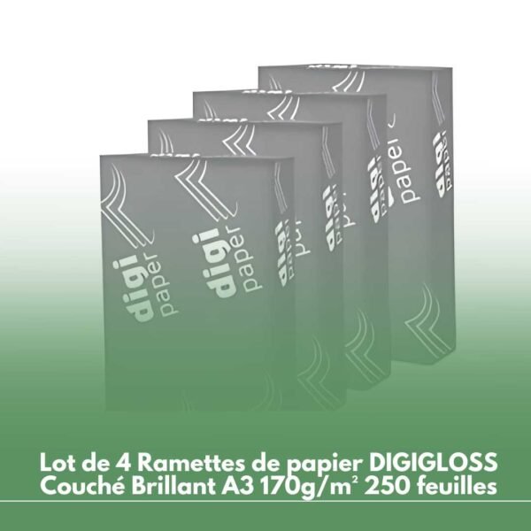 Lot de 4 Ramettes de papier DIGIGLOSS Couché Brillant A3 170g/m² 250 feuilles
