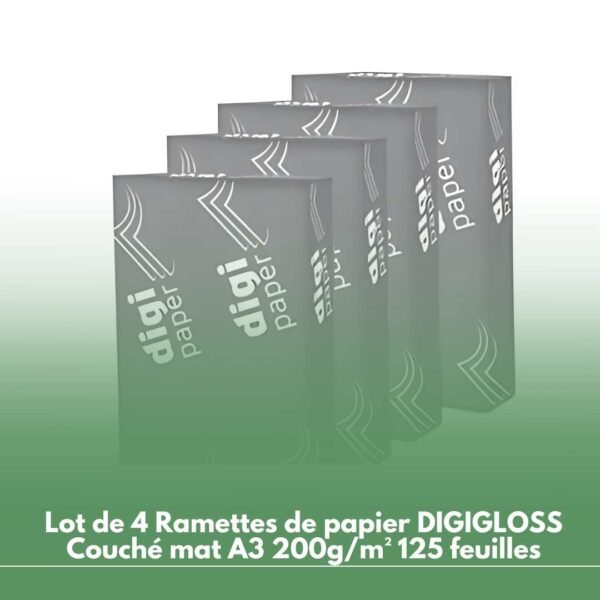 Lot de 4 Ramettes de papier DIGIGLOSS Couché mat A3 200g/m² 125 feuilles