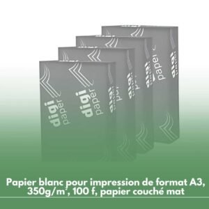 Lot de 4 Ramettes de papier DIGIGLOSS Couché mat A3 350g/m² 100 feuilles