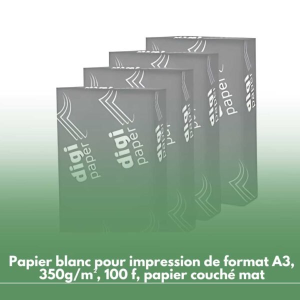 Lot de 4 Ramettes de papier DIGIGLOSS Couché mat A3 350g/m² 100 feuilles