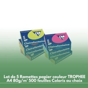 Lot de 5 Ramettes papier couleur TROPHEE A4 80g/m² 500 feuilles Coloris au choix