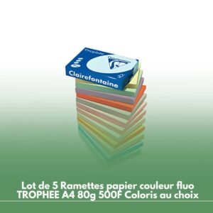 Lot de 5 Ramettes papier couleur fluo TROPHEE A4 80g 500F Coloris au choix