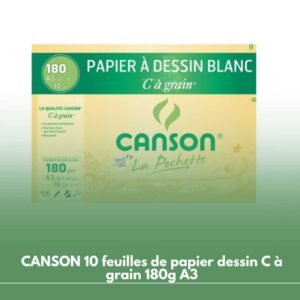 CANSON 10 feuilles de papier dessin C à grain 180g A3