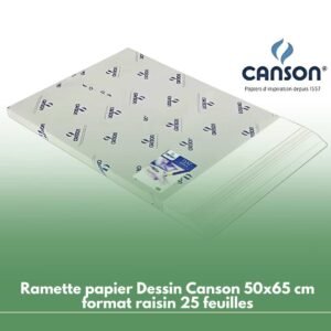 Ramette papier Dessin Canson 50x65 cm format raisin 25 feuilles