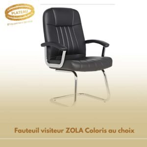 Fauteuil visiteur ZOLA Coloris au choix