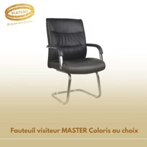 Fauteuil visiteur MASTER Coloris au choix