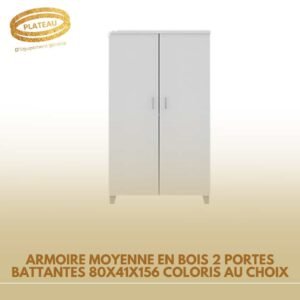 ARMOIRE MOYENNE EN BOIS 2 PORTES BATTANTES 80X41X156 COLORIS AU CHOIX
