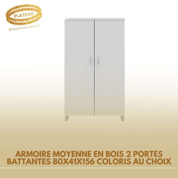 ARMOIRE MOYENNE EN BOIS 2 PORTES BATTANTES 80X41X156 COLORIS AU CHOIX