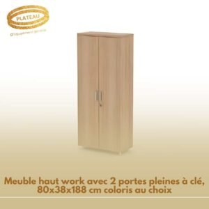 Meuble haut work avec 2 portes pleines à clé, 80x38x188 cm coloris au choix