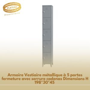 Armoire Vestiaire métallique à 5 portes fermeture avec serrure cadenas Dimensions H 198*30*45