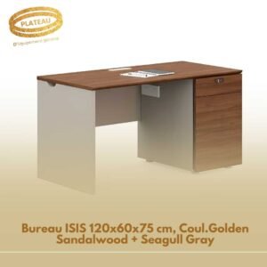 Bureau ISIS 120x60x75 cm, Coul.Golden Sandalwood + Seagull Gray