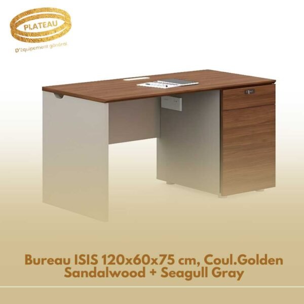 Bureau ISIS 120x60x75 cm, Coul.Golden Sandalwood + Seagull Gray