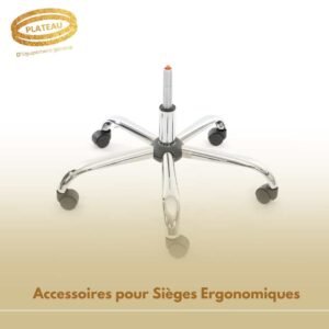 Accessoires pour Sièges Ergonomiques