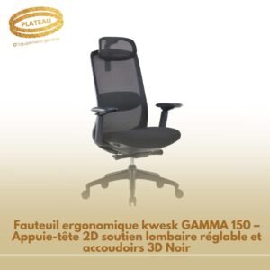 Fauteuil ergonomique kwesk GAMMA 150 – Appuie-tête 2D soutien lombaire réglable et accoudoirs 3D Noir