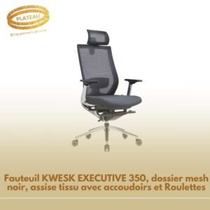 Fauteuil KWESK EXECUTIVE 350, dossier mesh noir, assise tissu avec accoudoirs et Roulettes