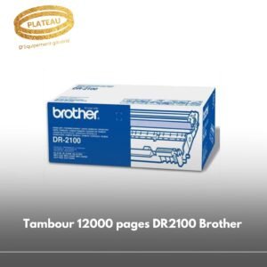 Tambour 12000 pages DR2100 Brother